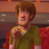 Shaggy β Scooby Doo franchise Shaggy β Scooby Doo franchise